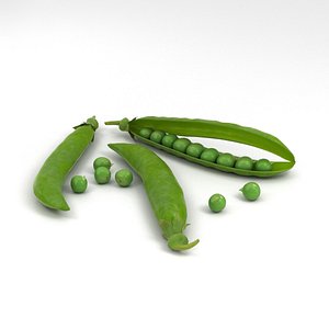 3D peas vegetable food