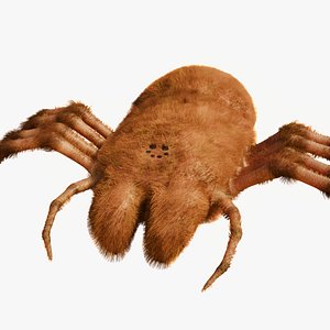 Prehistoric Spider 3D model