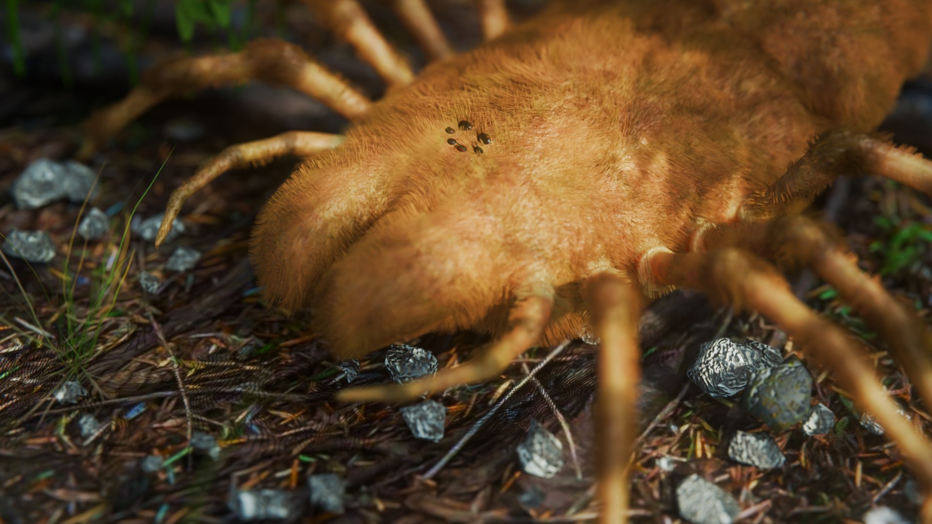 Prehistoric Spider 3D Model - TurboSquid 2339014