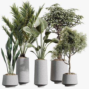 AV Indoor Plants Set 427 Olive Banana Palm Aspidistra model