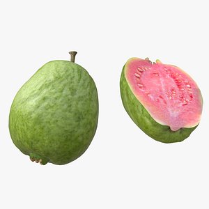 3D model Guava Fruit Pink