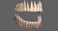 dentition teeth tongue gums 3D model