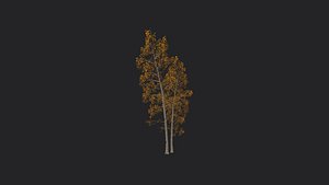 Tree 3D Model 002