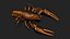 3D crayfish