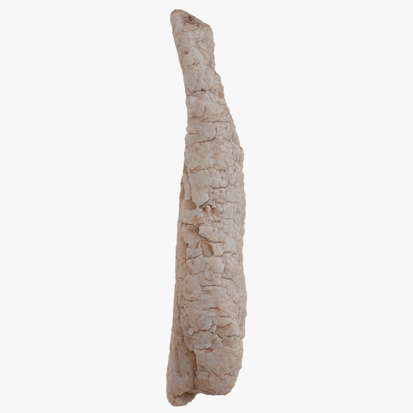 modelo 3d Abedul Betula Big Wood 10 - TurboSquid 2507237