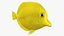 Colección animada de peces de agua salada 2