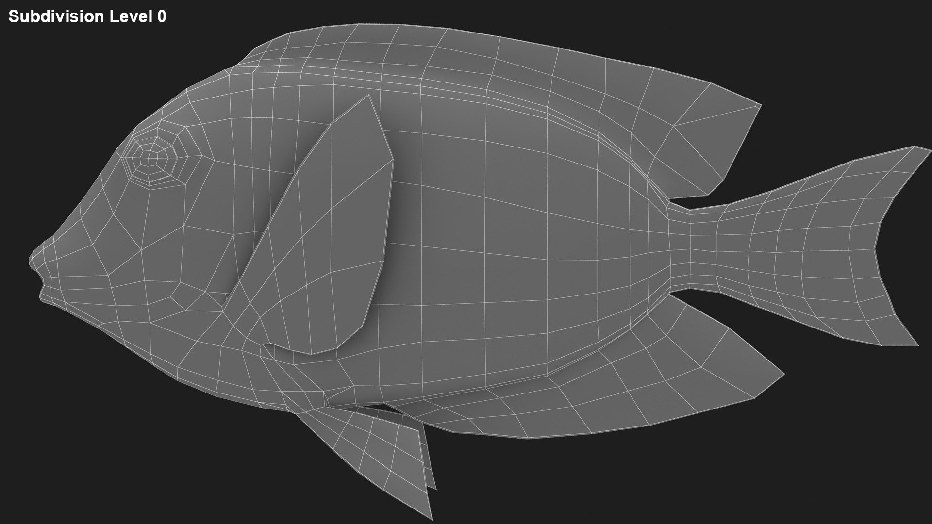 saltwater fish 2 animation 3D model https://p.turbosquid.com/ts-thumb/yp/voHJFQ/3wo1fNg2/lemon_rr_28/jpg/1581864553/1920x1080/fit_q87/78001b9b2add26142fbb29618ca880b9b52395ef/lemon_rr_28.jpg