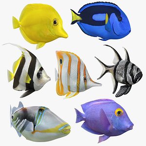 Saltwater Fish Animated Collection 2