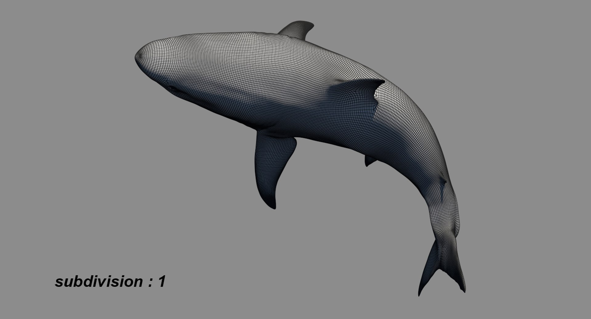 realistic shark rigged 3D model https://p.turbosquid.com/ts-thumb/yq/3YADgr/1WD3TIej/24/jpg/1545358960/1920x1080/fit_q87/07b1dfe14804d014fbeca25fd7dec1991039c42e/24.jpg