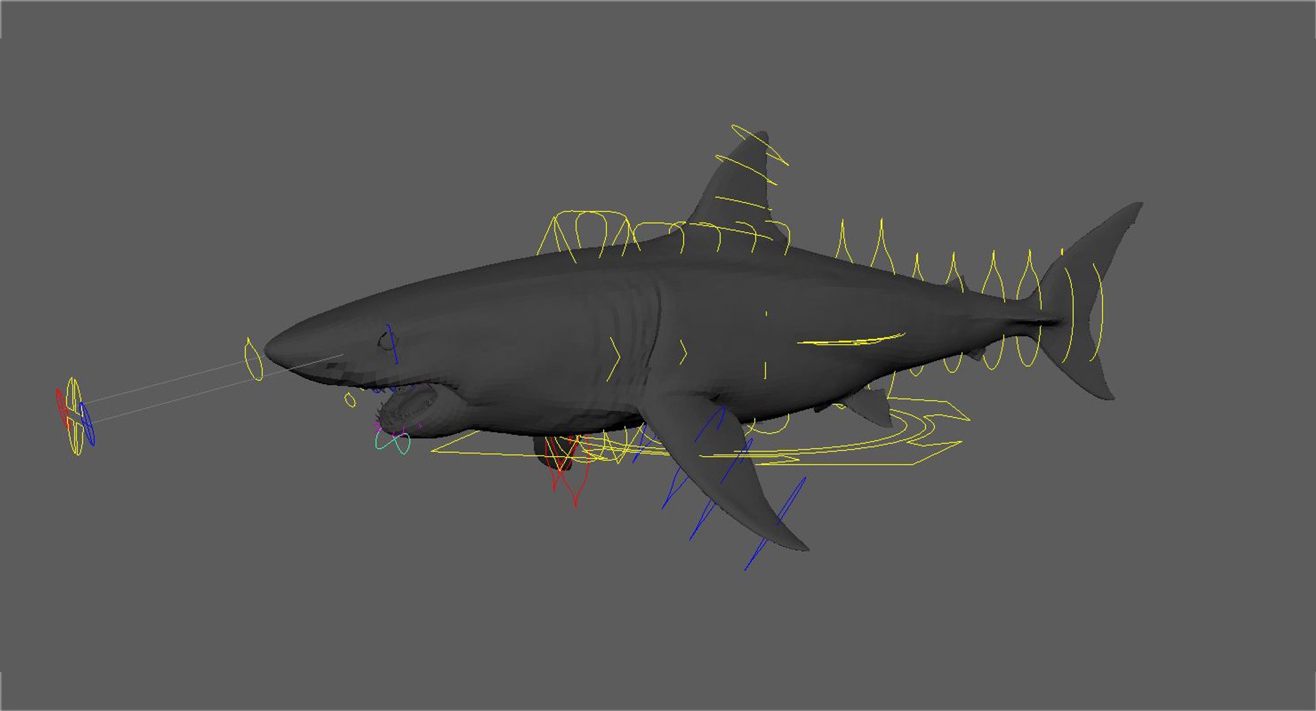 realistic shark rigged 3D model https://p.turbosquid.com/ts-thumb/yq/3YADgr/59HU4284/31/jpg/1545358960/1920x1080/fit_q87/280856ff3e5fa7796163ed6b66c394eaad41ea7f/31.jpg