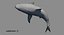 Requin (Rigged)