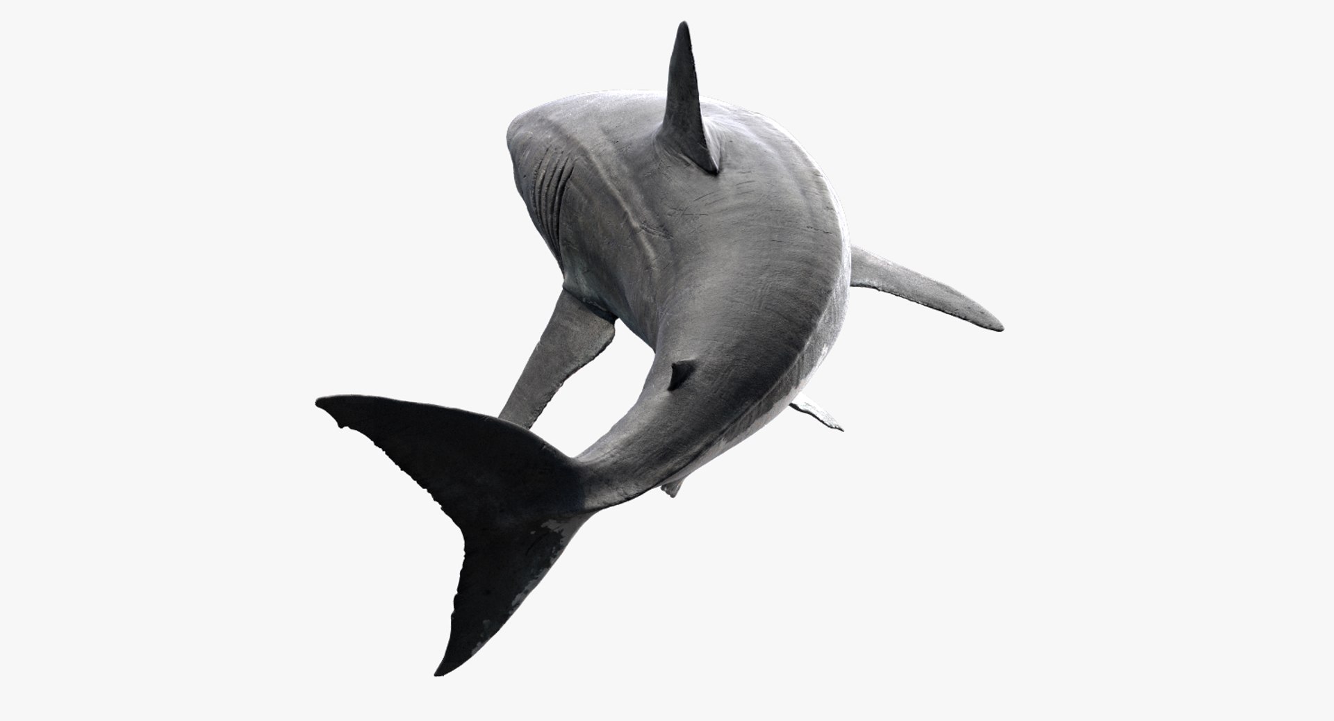 realistic shark rigged 3D model https://p.turbosquid.com/ts-thumb/yq/3YADgr/J0Jy6Xka/07/jpg/1545358960/1920x1080/fit_q87/90e66f2b75197b1e70a390a42832f3805c6699bc/07.jpg