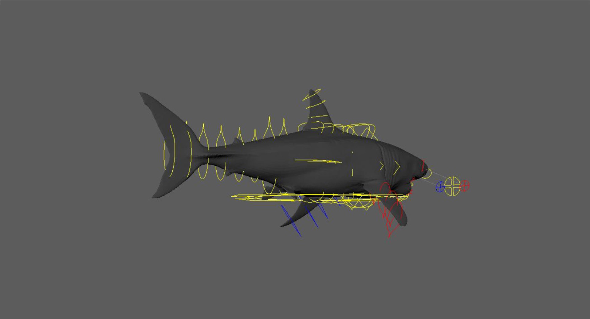 realistic shark rigged 3D model https://p.turbosquid.com/ts-thumb/yq/3YADgr/dpqjhUpH/33/jpg/1545358960/1920x1080/fit_q87/51762a767bb29ef9976d0ed062b7726b6e48b9cf/33.jpg