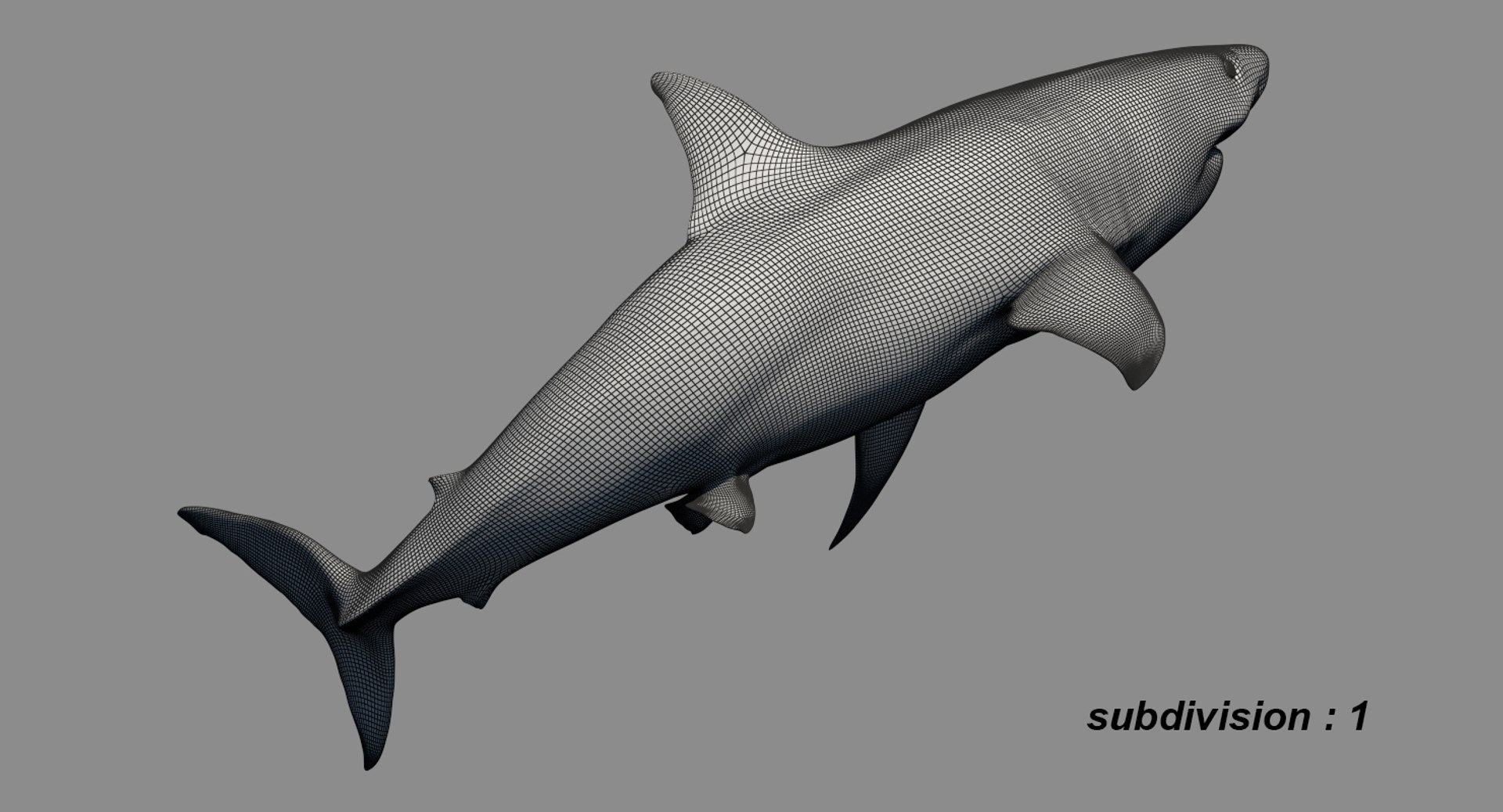 realistic shark rigged 3D model https://p.turbosquid.com/ts-thumb/yq/3YADgr/r9Mpa5np/26/jpg/1545358960/1920x1080/fit_q87/dda566bd3bd4e1f945c7956f70c07aba242d141c/26.jpg