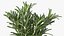 3D Rosemary Sheaf