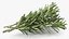 3D Rosemary Sheaf