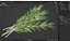 3D Rosemary Sheaf