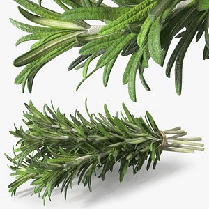 3D Rosemary Sheaf