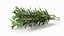 3D Rosemary Sheaf