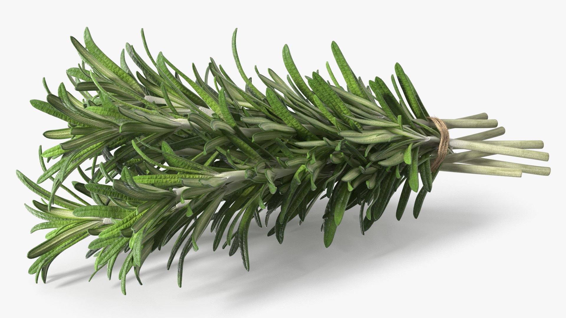3D Rosemary Sheaf https://p.turbosquid.com/ts-thumb/yq/DIcJ7R/lF/rosemary_sheaf_002/jpg/1746070549/1920x1080/fit_q87/6a499607a4f8ec3cb8b85369c7eea7a6641ce0fd/rosemary_sheaf_002.jpg