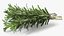 3D Rosemary Sheaf