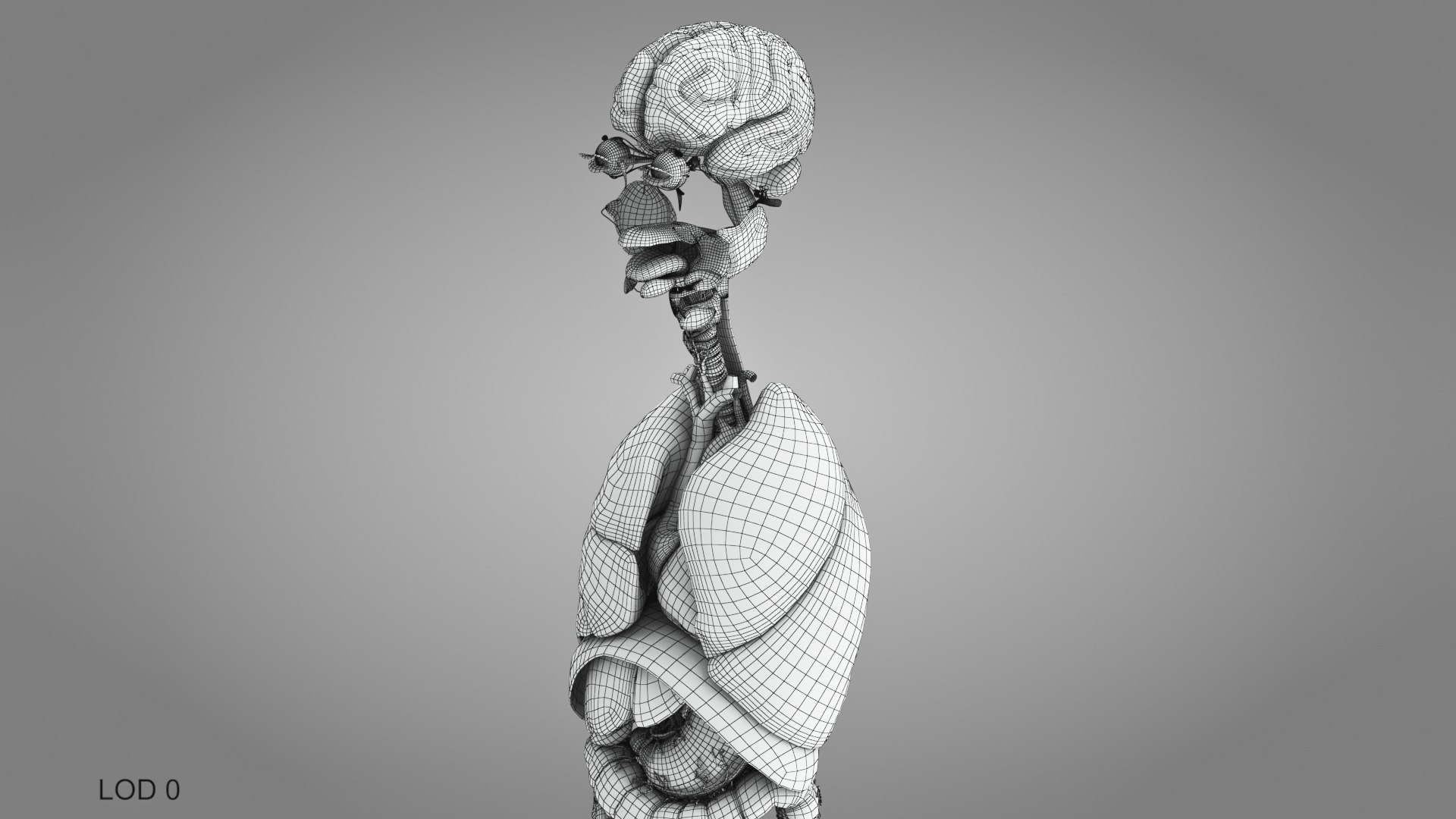 10 Anatomical human organs in body 3D model https://p.turbosquid.com/ts-thumb/yq/FXPsuU/1D/humanorgansheartliverstomachbrain_00001/jpg/1657712247/1920x1080/fit_q87/d2fc998d1f2c96a3d1b53862532fc3c155d5cd97/humanorgansheartliverstomachbrain_00001.jpg