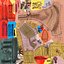 10 Anatomical human organs in body