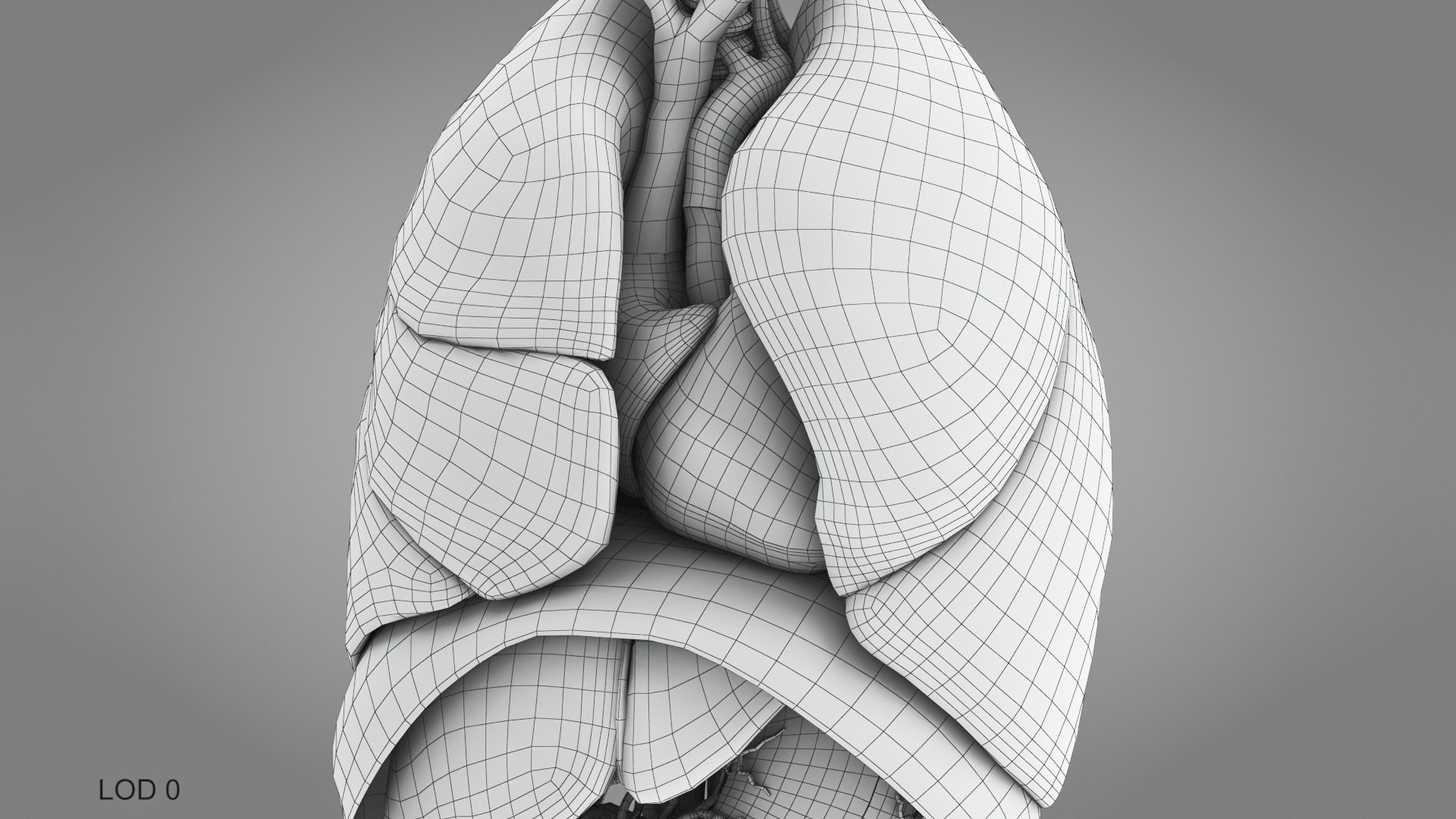 10 Anatomical human organs in body 3D model https://p.turbosquid.com/ts-thumb/yq/FXPsuU/61/humanorgansheartliverstomachbrain_00021/jpg/1657712265/1920x1080/fit_q87/0e4485bd900b4f0552c15a84e263ec6bf9029d81/humanorgansheartliverstomachbrain_00021.jpg