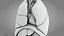 10 Anatomical human organs in body