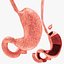 10 Anatomical human organs in body