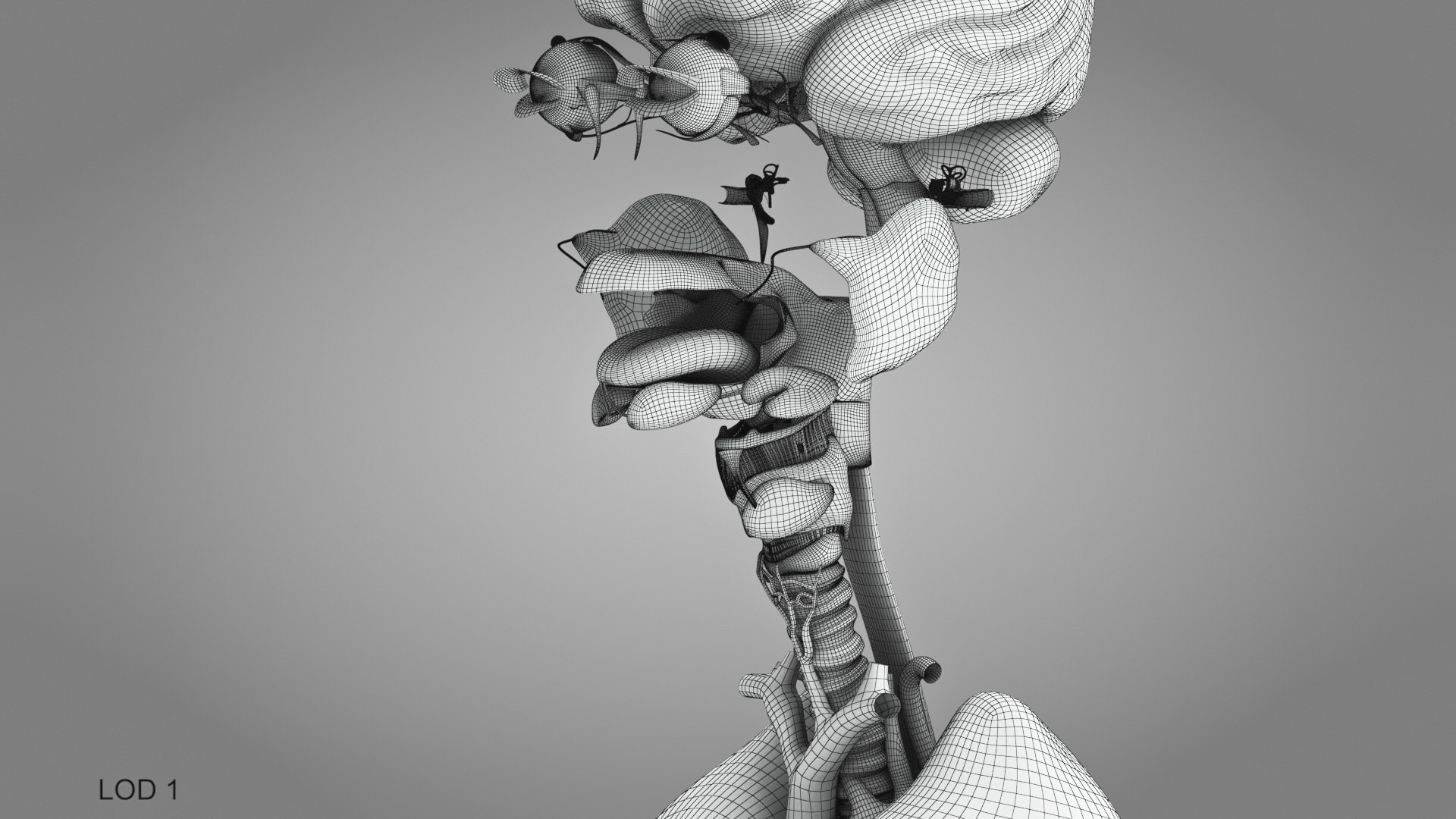 10 Anatomical human organs in body 3D model https://p.turbosquid.com/ts-thumb/yq/FXPsuU/LD/humanorgansheartliverstomachbrain_00006/jpg/1657712249/1920x1080/fit_q87/e4254028bef928f62ac6876a37d0b662ccc0b6ca/humanorgansheartliverstomachbrain_00006.jpg