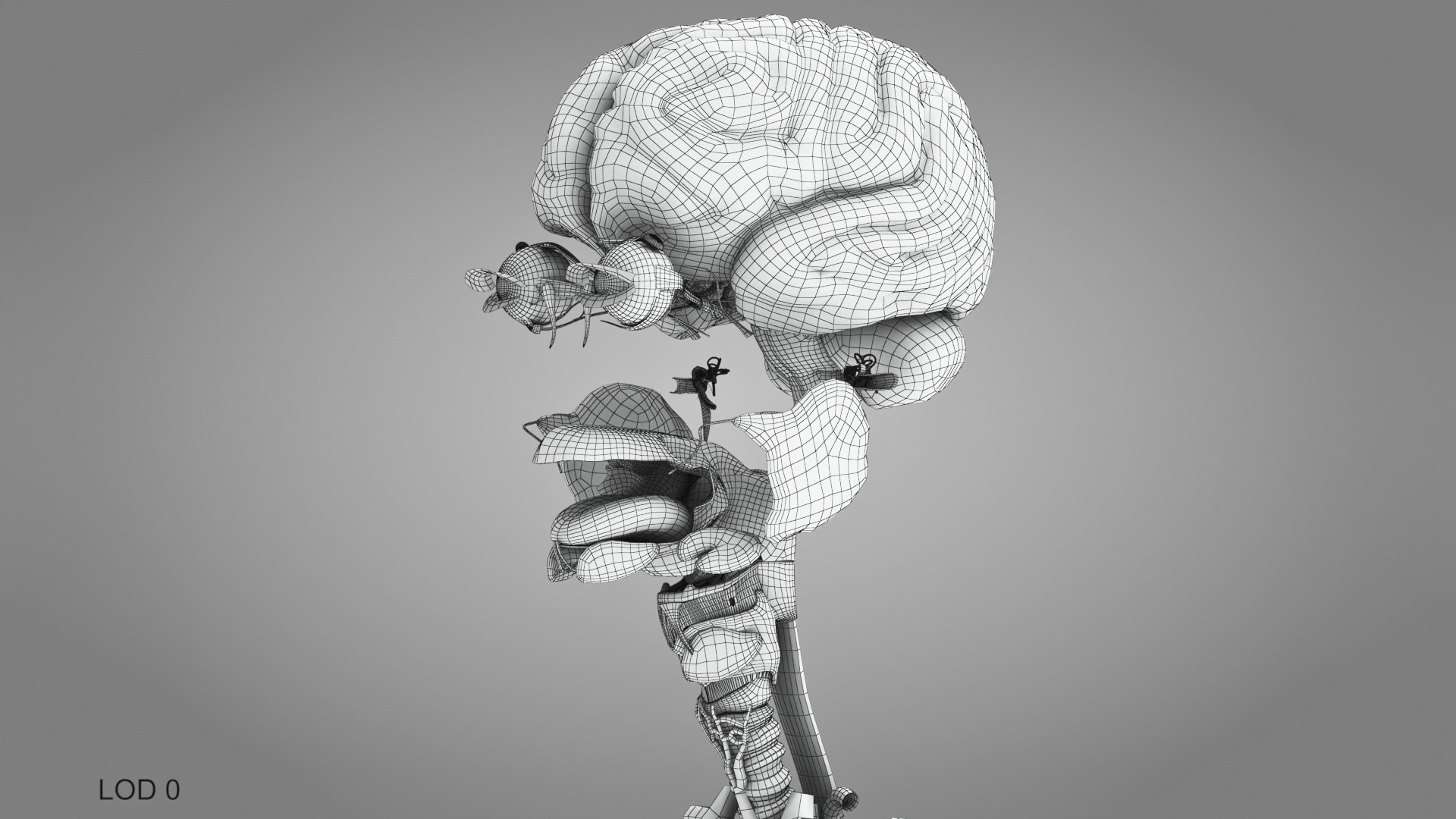 10 Anatomical human organs in body 3D model https://p.turbosquid.com/ts-thumb/yq/FXPsuU/Mp/humanorgansheartliverstomachbrain_00019/jpg/1657712259/1920x1080/fit_q87/966535a5df4e5bc948b67558a9e9aa0c4759578b/humanorgansheartliverstomachbrain_00019.jpg