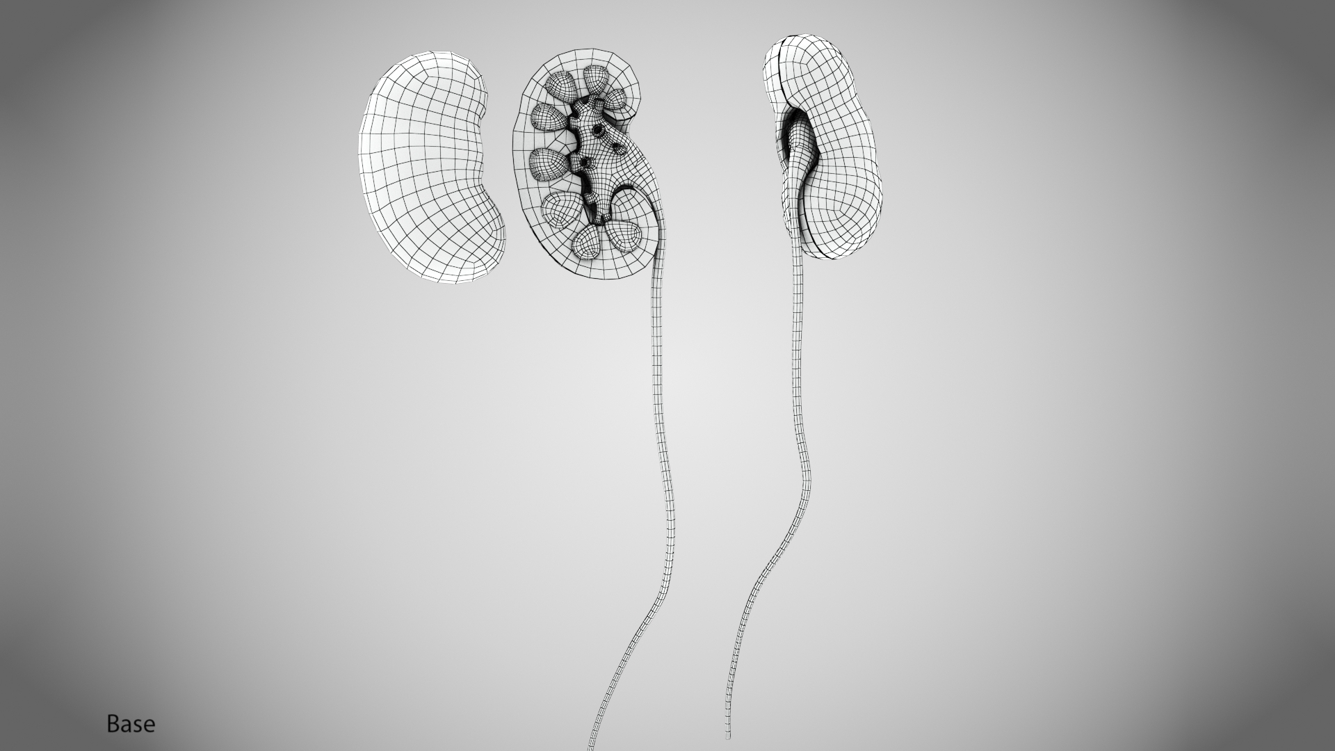 10 Anatomical human organs in body 3D model https://p.turbosquid.com/ts-thumb/yq/FXPsuU/Ms/w/jpg/1657710011/1920x1080/turn_fit_q99/5d6726ec16141e2cdc8daffa38c731f8b76be37e/w-1.jpg