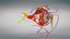 10 Anatomical human organs in body