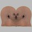 10 Anatomical human organs in body