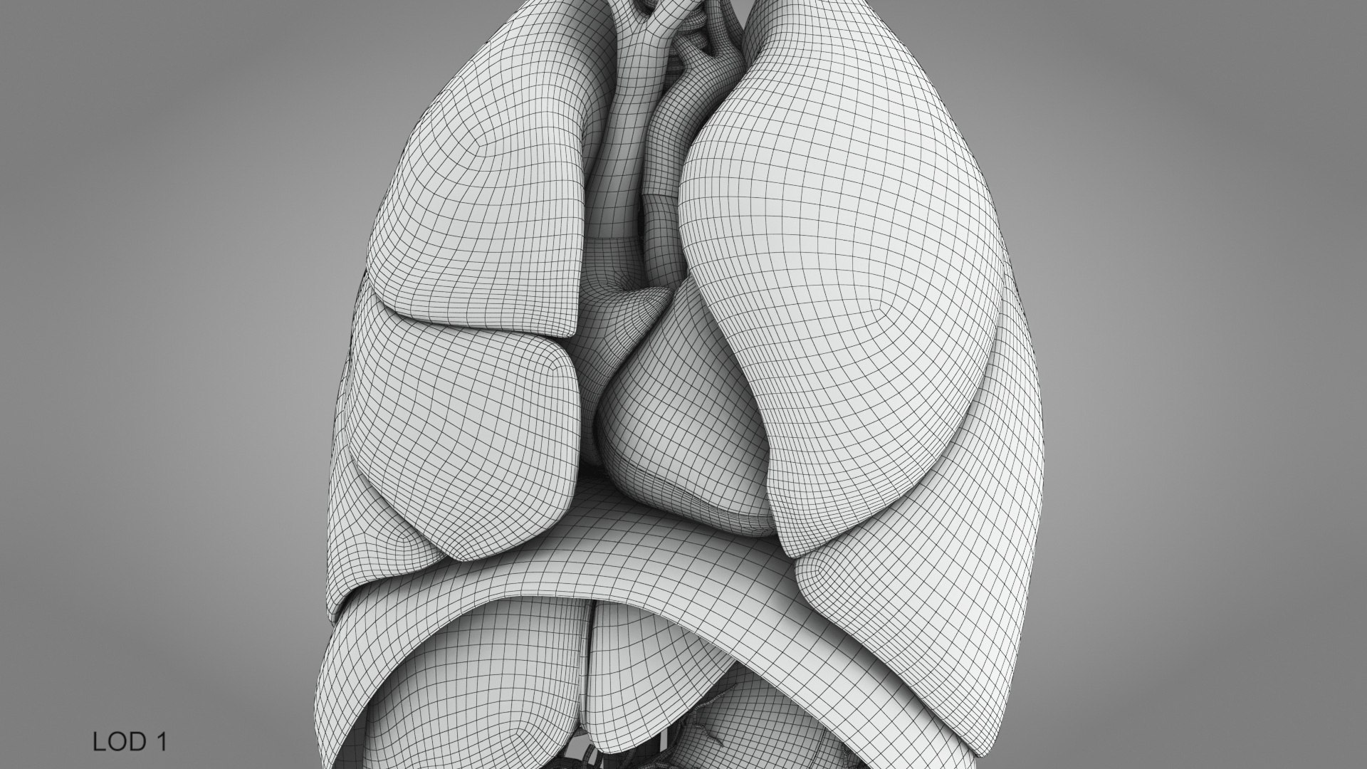 10 Anatomical human organs in body 3D model https://p.turbosquid.com/ts-thumb/yq/FXPsuU/cw/humanorgansheartliverstomachbrain_00022/jpg/1657712267/1920x1080/fit_q87/dd2c8e4aa86c013858996b02cff05be20f0ef79a/humanorgansheartliverstomachbrain_00022.jpg