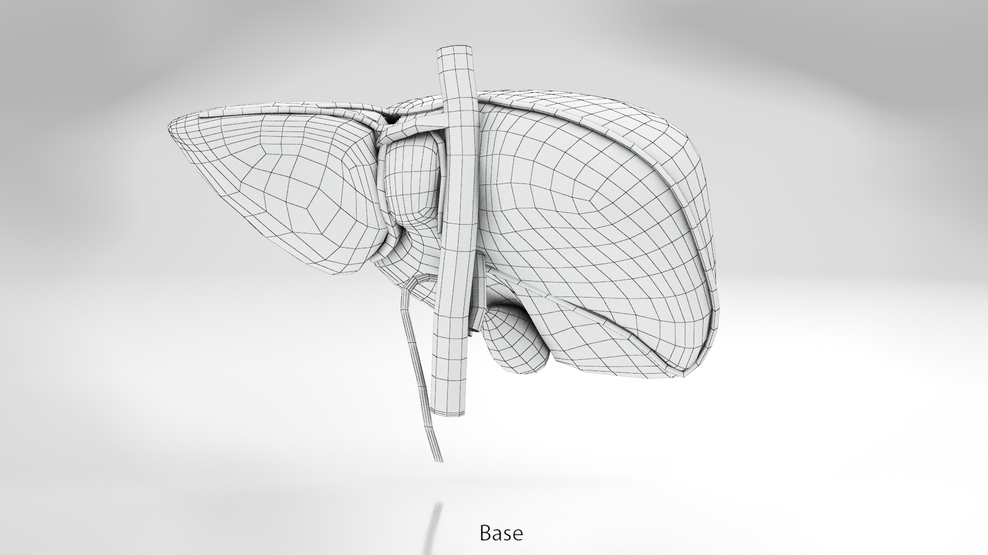 10 Anatomical human organs in body 3D model https://p.turbosquid.com/ts-thumb/yq/FXPsuU/ha/wbase/jpg/1657710911/1920x1080/turn_fit_q99/2a7aace06566adddb8698bff7f4eb09f6173b503/wbase-1.jpg
