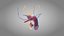 10 Anatomical human organs in body