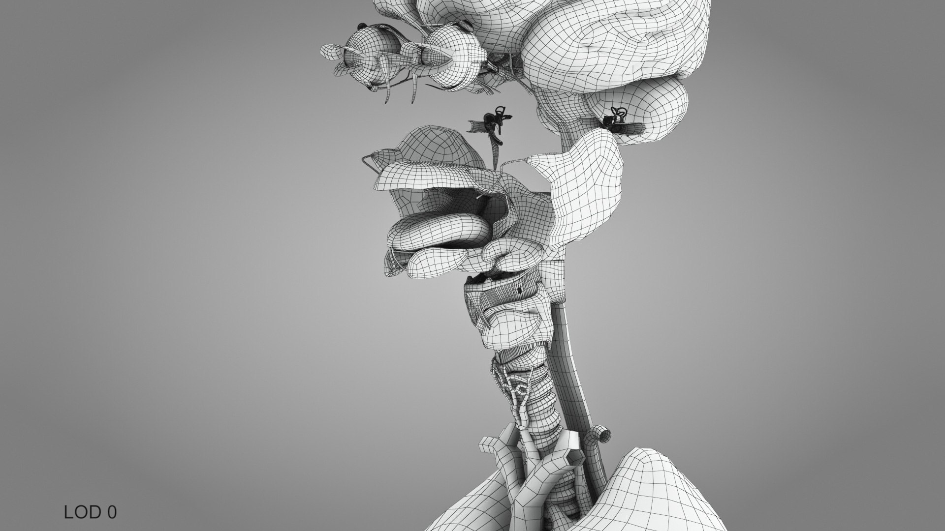10 Anatomical human organs in body 3D model https://p.turbosquid.com/ts-thumb/yq/FXPsuU/kO/humanorgansheartliverstomachbrain_00005/jpg/1657712249/1920x1080/fit_q87/dde772ba7889c4118c5efd231bd8ba8abce8fa0d/humanorgansheartliverstomachbrain_00005.jpg