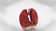 10 Anatomical human organs in body