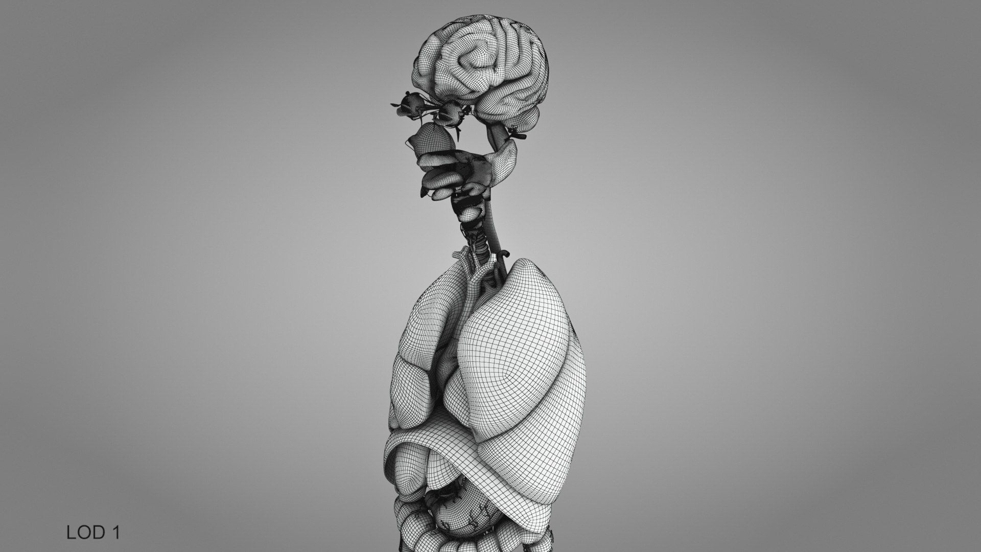 10 Anatomical human organs in body 3D model https://p.turbosquid.com/ts-thumb/yq/FXPsuU/o0/humanorgansheartliverstomachbrain_00002/jpg/1657712247/1920x1080/fit_q87/cab4ee778c9f59af47f8a1e2ca33bc81bddb7a13/humanorgansheartliverstomachbrain_00002.jpg