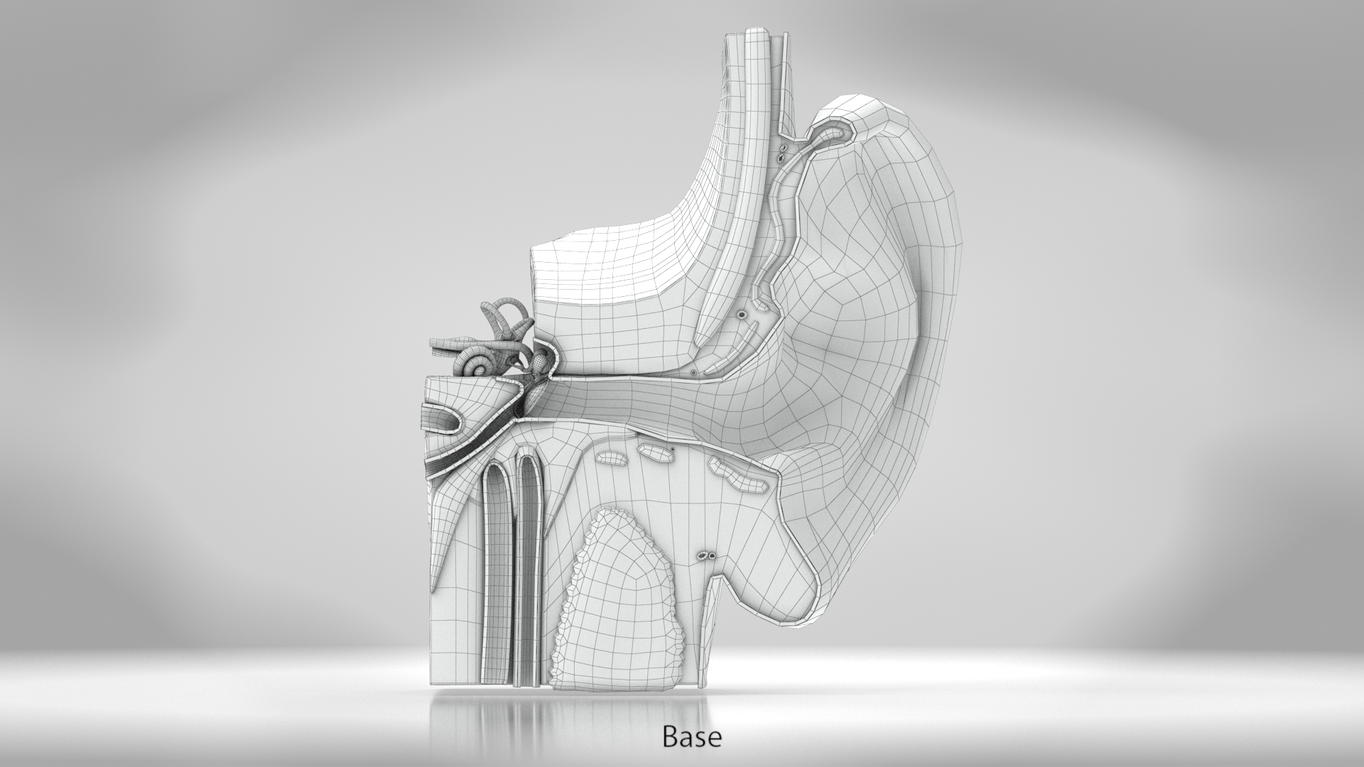 10 Anatomical human organs in body 3D model https://p.turbosquid.com/ts-thumb/yq/FXPsuU/ys/wzero/jpg/1657708545/1920x1080/turn_fit_q99/a3dca617c3f9b78bbdca37fd6ce6ec111d083410/wzero-1.jpg