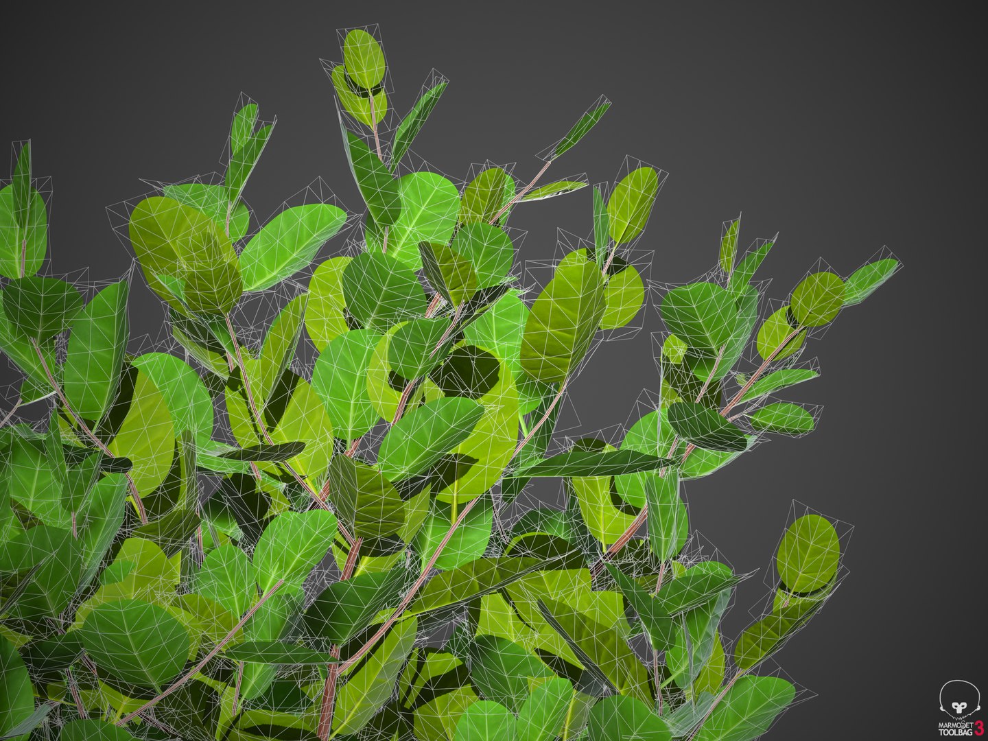 XfrogPlants Cocoplum - Chrysobalanus Icaco 3D model https://p.turbosquid.com/ts-thumb/yq/KWdAo8/uU/screenshot004/png/1619736452/1920x1080/fit_q87/c4098e5730ac09f39badd3c566625b793e8586fe/screenshot004.jpg