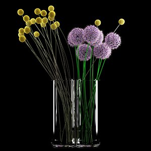 craspedia allium flowers 3d model