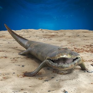 Tiktaalik Rigged