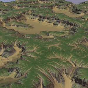 Landscape 55