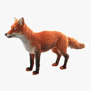 Fox