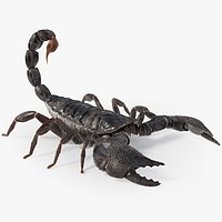 Realistic Scorpion