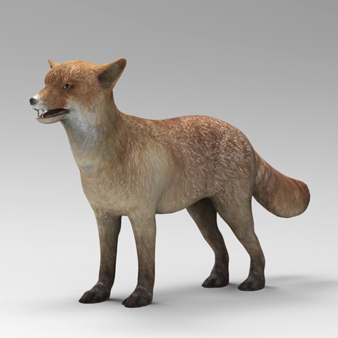 Hand Fox Max