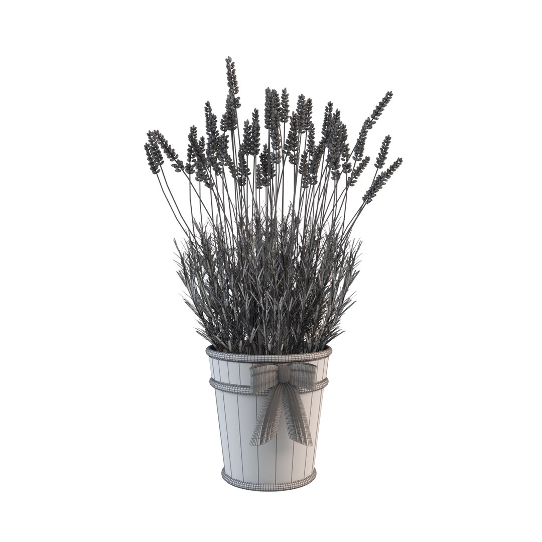 model lavender flowers pot https://p.turbosquid.com/ts-thumb/yq/nzbJMI/a9Q0zVMP/w8/jpg/1367003766/1920x1080/fit_q87/294d4b809168bb2d28690834170b7523bc73877f/w8.jpg